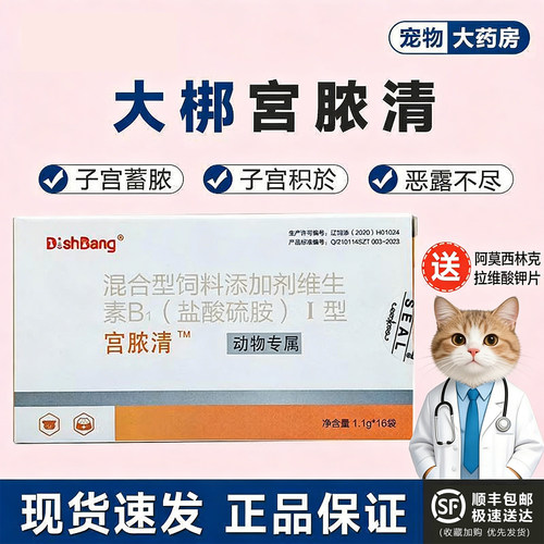 大梆宫脓清狗猫子宫蓄脓
