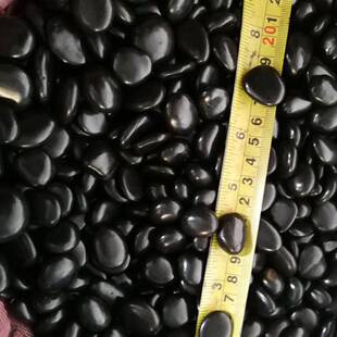 黑然色抛高光精花品鹅卵石工程铺AIP路园林造景庭院装饰天雨石光