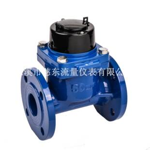 DN80林车农用灌溉表R40农水业园灌溉系统水量计HLG水量表