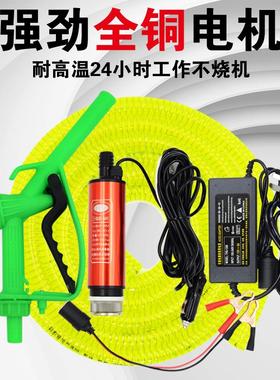 抽水泵12v电抽油泵2RLS4v抽子车小载柴油泵220油v家动用型抽酒潜
