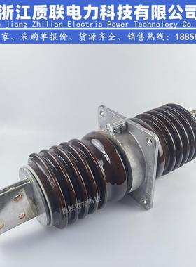 10-35KV电站交流高压陶瓷穿墙套管CWWCWC-20/4000A20KV