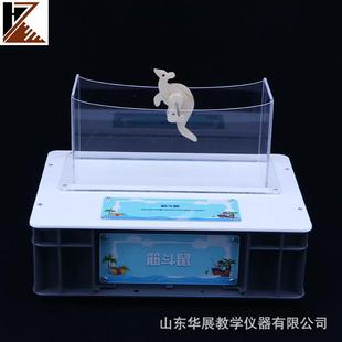 物理力学探究物体能量间的转化和机械能守恒条件教学实验演示套装