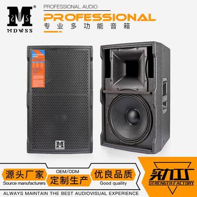 TT12单12寸全频专业舞台音响户外演出专用音箱套装