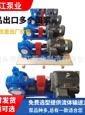 供应YCB-8/0.6圆弧齿轮泵滤油机配套泵耐磨齿轮泵大江泵业