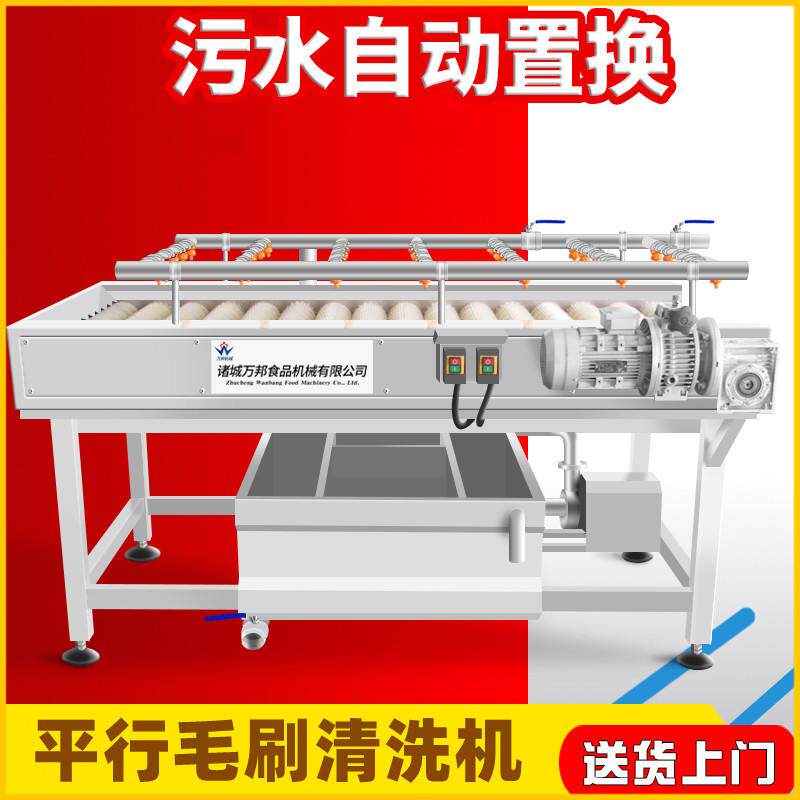 现货毛刷清洗机商用红萝卜软毛刷表面清洗机高压喷淋清洗机
