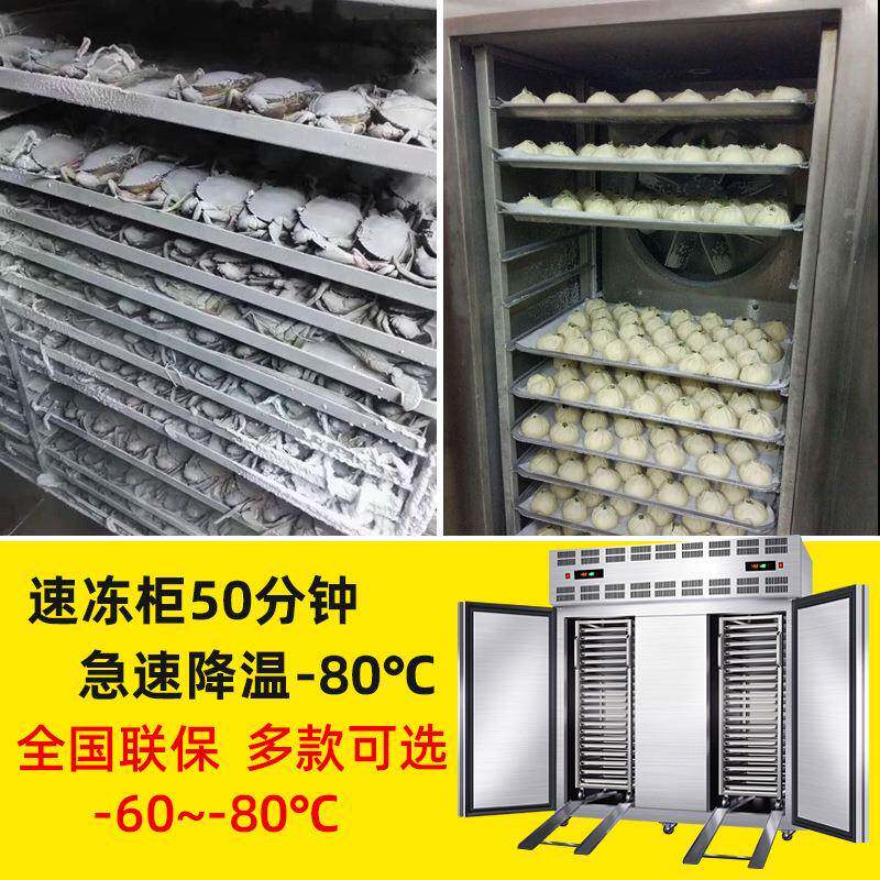零下45度商用速冻柜速冻机小型急冻冷柜海参包子饺子风冷低温冰箱