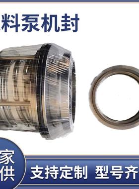 B173-90机械密封ZJWSYA压滤机入料泵配件洗煤洗沙耐磨高压密封件