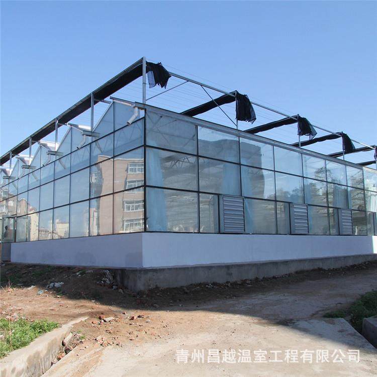 生产新型阳光板温室大棚遮阳保温花卉种植基地质量优越,机械设备,其他机械设备,淘宝优惠券,粉丝福利购,淘宝优惠卷