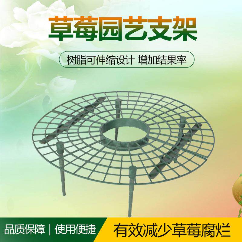 草莓种植架栽培架阳台盆栽种菜架托盘热销款园艺工具