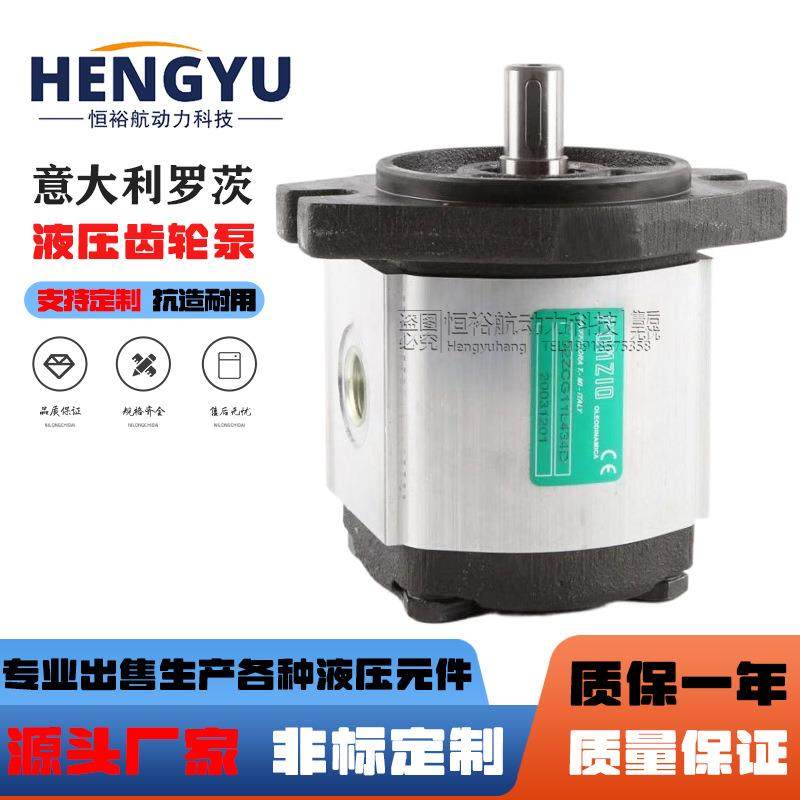罗茨液压泵RONZIO齿轮泵02ZAG08CD032D02ZCG17S438高压压力油泵
