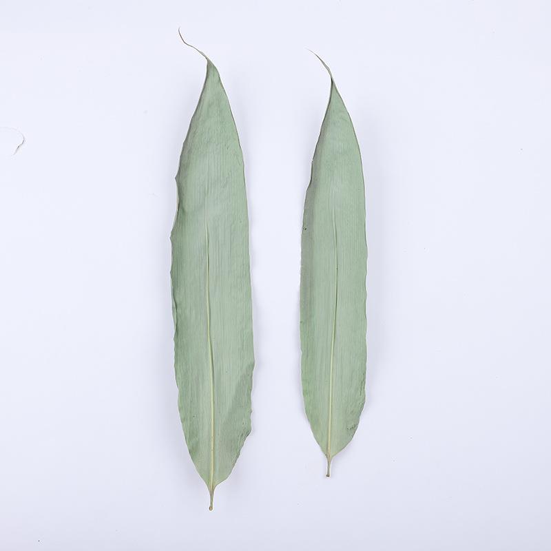 黄山粽叶箬叶一包60斤适合包100g-150g粽子烘干叶精选出口箬叶