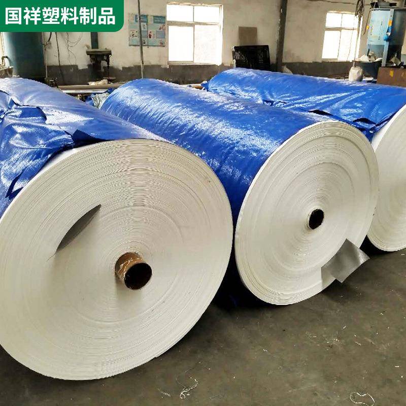 PE透明大棚布种植大棚温室养殖园艺防水篷布户外加厚盖布棚布