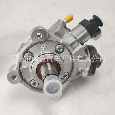 0445010538 众迪西雅特斯柯达 2.0 Tdi 04L130755E