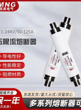铭高高压限流熔断器XRNT1-24KV/50-125A高分段能力熔断器直销