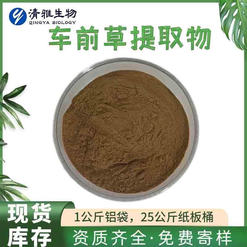 车前草提取物10:1车前子/车轮草提取物现货免邮车前草粉100克