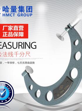 连环公法线外径千分尺螺旋测微仪齿轮测量255075100开票