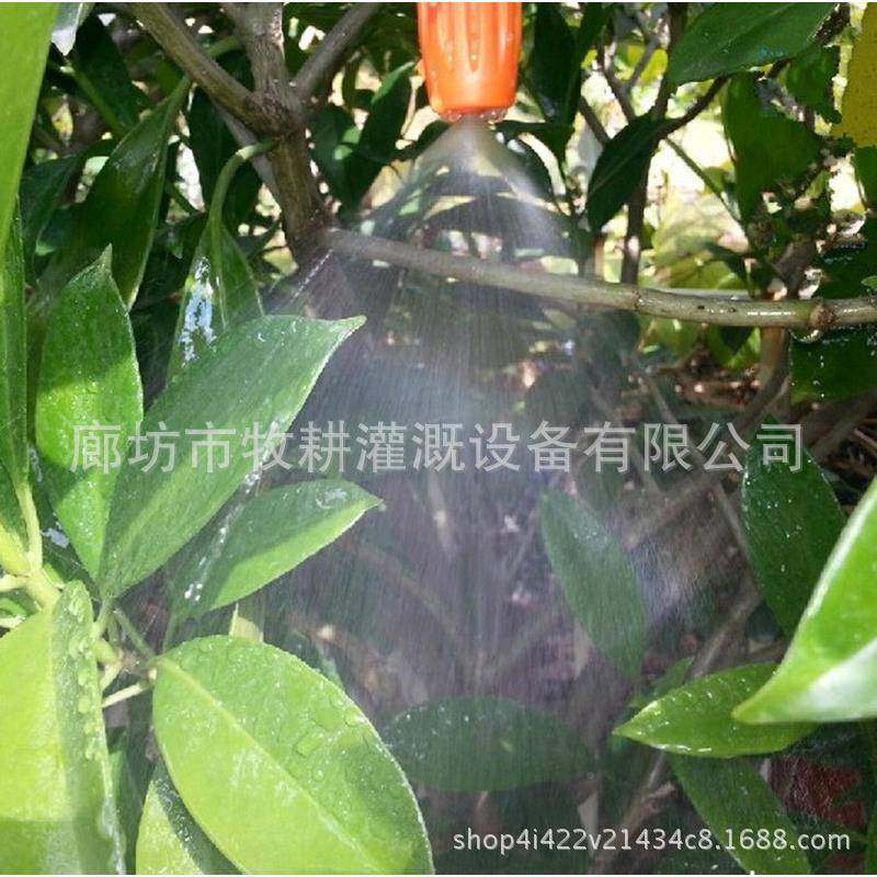 级ETW版浇水神器人家用自动浇水器懒创升意滴灌渗器植物水自动浇,农机/农具/农膜,灌溉工具,淘宝优惠券,粉丝福利购,淘宝优惠卷
