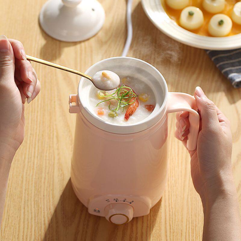 多功能杯壶迷你电炖杯陶瓷电热杯小型烧水热牛奶煮粥杯煮面杯