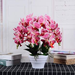 蝴蝶兰仿真花套装客厅假花摆件大盆兰花盆栽装饰摆设插花花艺