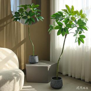 仿真绿植保罗大叶伞假绿植室内装饰诧寂风轻奢假花树软装摆设