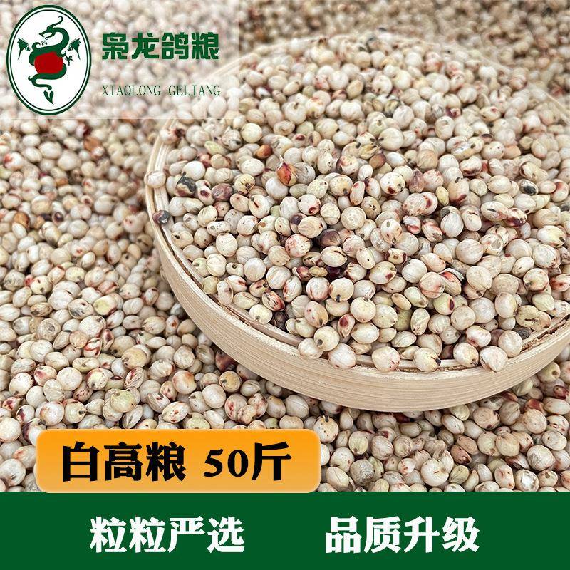 枭龙鸽粮白高粱鸽子食赛鸽信鸽观赏鸽澳粮50斤
