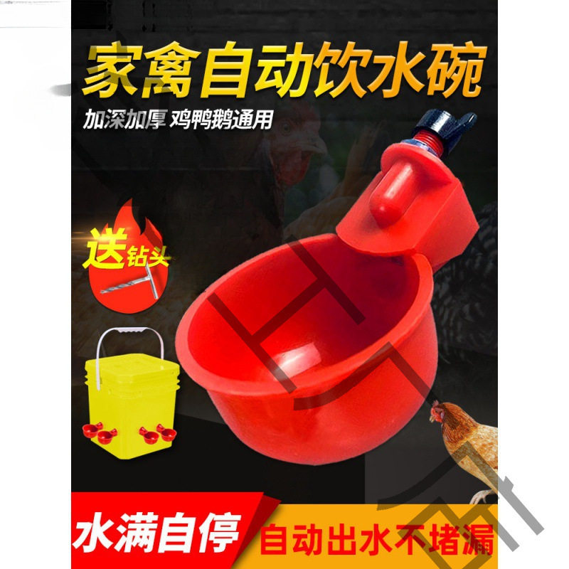 养鸡用自动饮水器鸡鸭鹅饮水碗鸽子喝水碗鹌鹑家禽鸟小鸡喂鸡其他