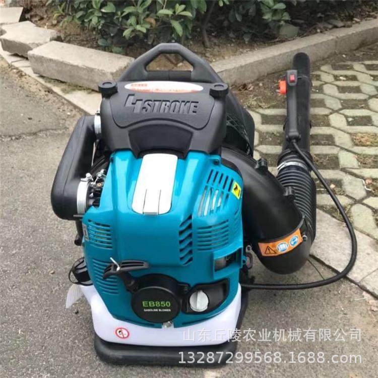 背负式四冲程吹雪机草坪清理灰尘杂物路面机械A除雪机供应,农用物资,其他肥料,淘宝优惠券,粉丝福利购,淘宝优惠卷