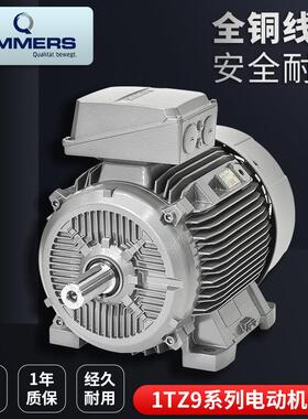 德国LAMMERS三相异步感应电动机1TZ9503系列18.5KW1TZ9系列