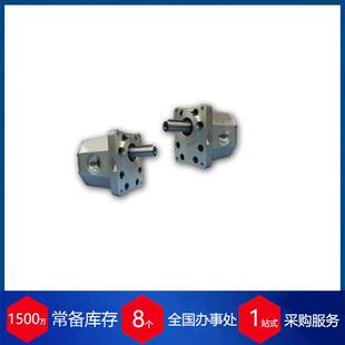 波兰WPH齿轮泵PZ4