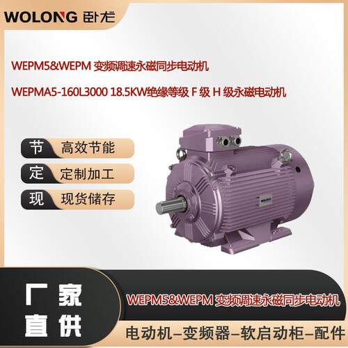 WEPMA5-160L3000 18.5KW绝缘等级 F 级 H 级永磁电动机