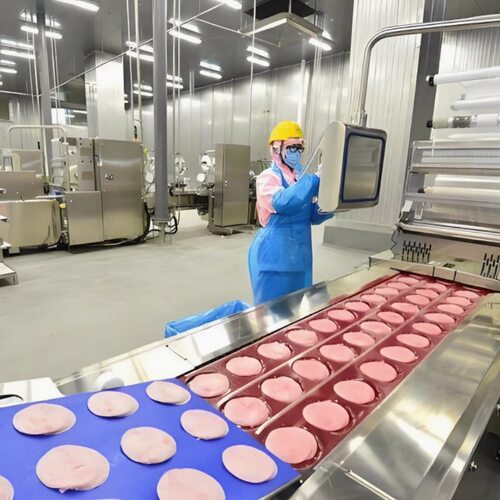 多功能红肠肉馅加工流水线大型香肠液压灌肠机不锈钢腊肠加工设备