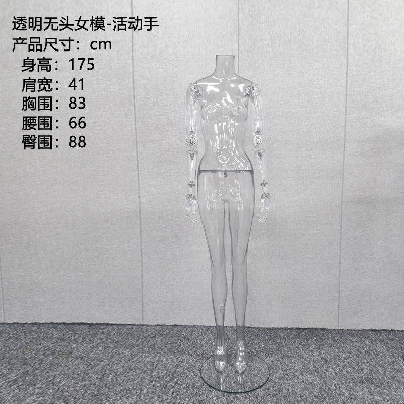 透明模特道具女全身假人台模型手臂可动调关节服装拍摄透明女模特