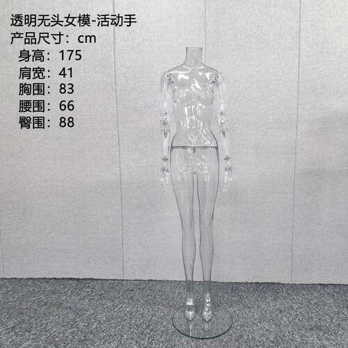 透明模特道具女全身假人台模型手臂可动调关节服装拍摄透明女模特