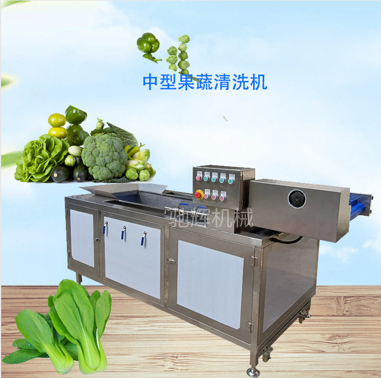 连续式自动洗菜机多功能蔬菜清洗机无损式洗生菜油菜机