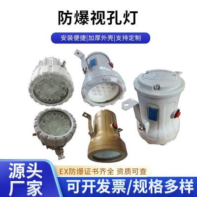 防爆视孔灯BSD96化学容器LED视孔灯12V24V36V220V反应釜视镜灯