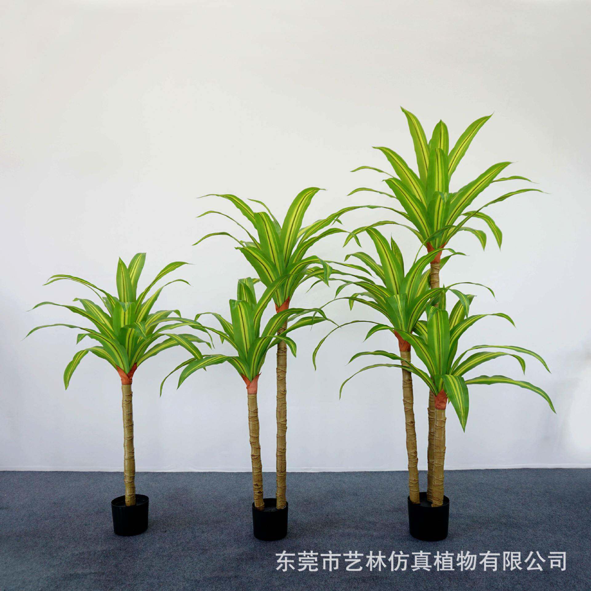 仿真跳舞兰客厅室内大型落地植物装饰花草盆栽景巴西木铁假花绿植