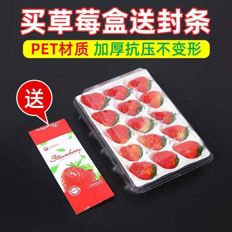 直销草莓盒子透明带托分格打包防摔加厚一次性包装盒加厚防摔,纺织面料/辅料/配套,纺织机械配件,淘宝优惠券,粉丝福利购,淘宝优惠卷