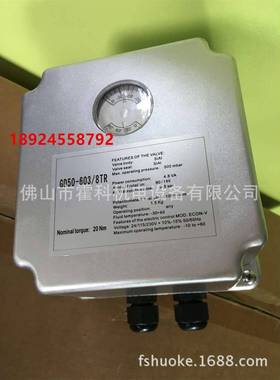 GD50-603/8TR，GD50-606/8TR，GD50-608/8TR电动执行器