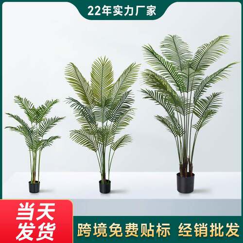 带盆160cm真散尾葵高端TEMU假绿植盆栽家居装饰仿真植物