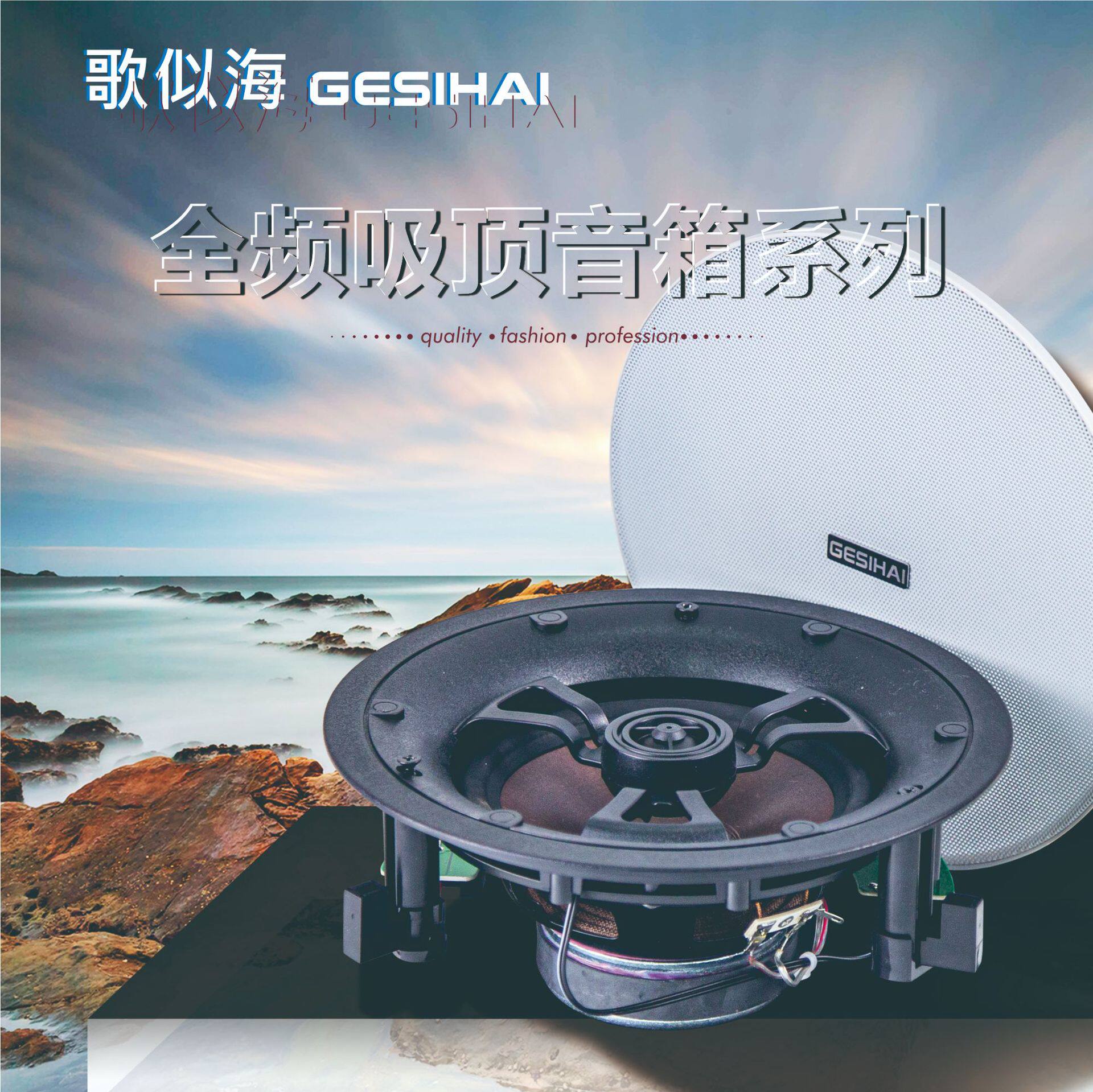 厂家直销全频吸顶音箱天花同轴喇叭家用会议健身房教室培训定阻定