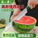 张小泉西瓜刀多用瓜果刀切西瓜神器不锈钢水果刀削皮家用加长切瓜