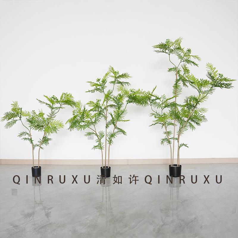 仿真树含羞草新中式禅意仿生植物带果实假树盆栽室内客厅装饰绿植