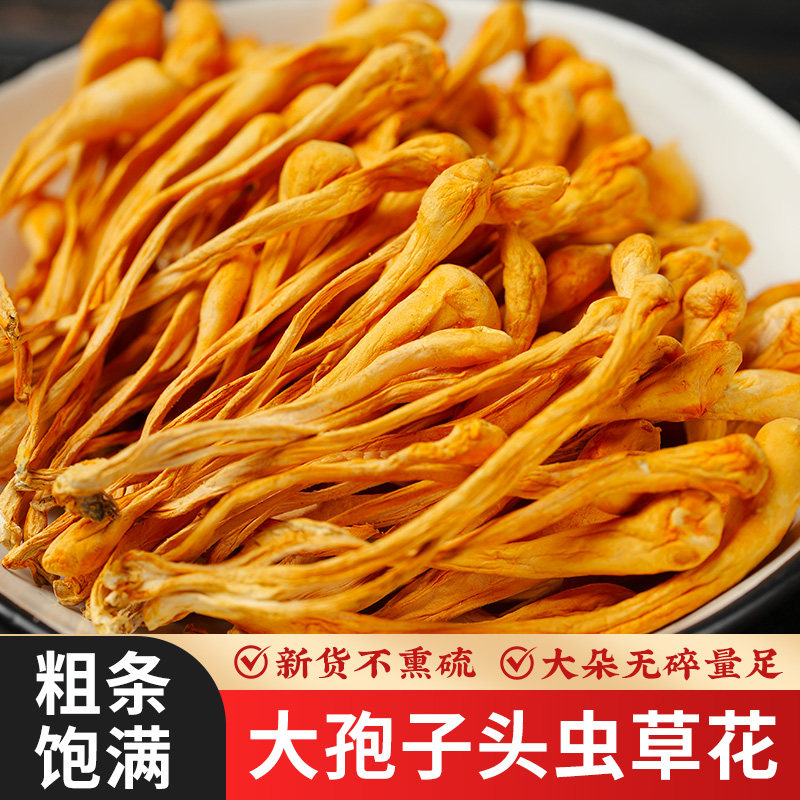 虫草花干货新鲜无硫非特级虫草花孢子头蛹虫草金虫草炖汤包批发