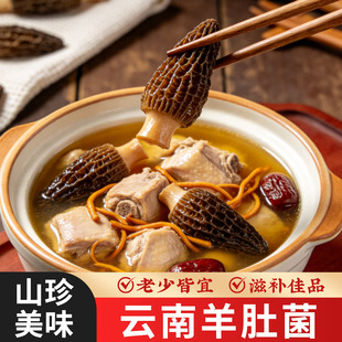 正宗羊肚菌干货正品菌菇汤料包