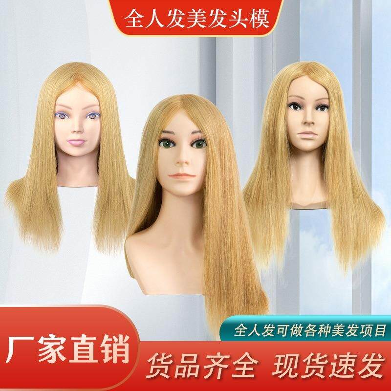 美发头模全真发假人头模特头公仔头真发可烫卷染色吹造型教习头模