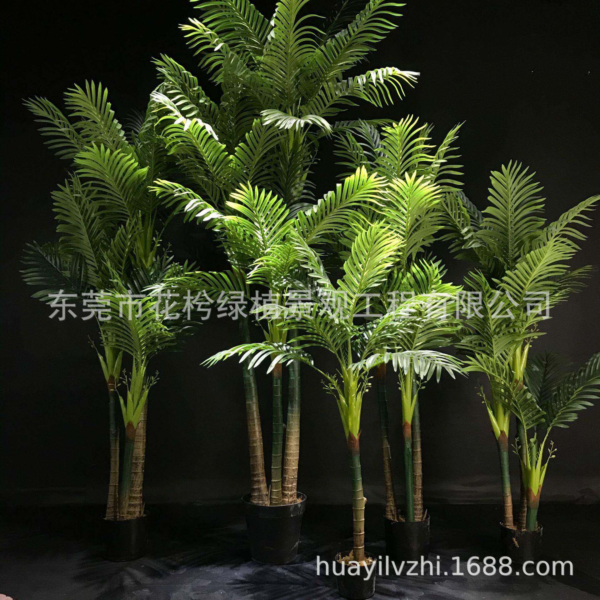 大型凤尾葵仿真散尾葵凤尾竹仿真绿植仿真珍珠葵美丽针葵厂