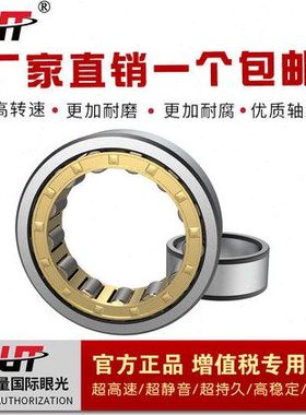 瑞典圆柱滚子替代进口轴承 N1017 N1018 N1019 N1020 N1021 N1022