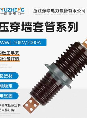 10KV高压穿墙套管CWWL-10/200A400A630A3150A高压陶瓷穿墙套管