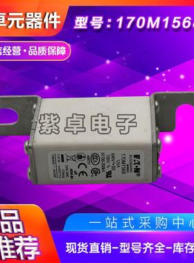170M1568D170M1569D170M1570D170M1571D170M1572D快速熔断器