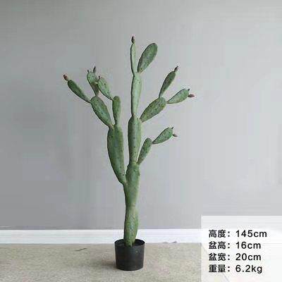 北欧创意仿真仙人掌盆栽植物盆景大摆件客厅室内办公室橱窗仙人柱